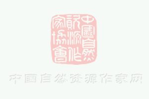開奶茶加盟費多少