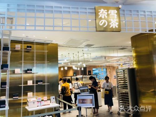 河池奈雪加盟需要多少錢