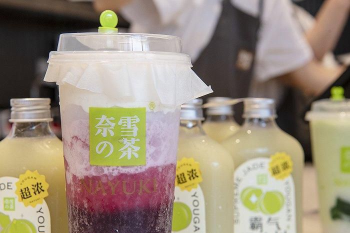 巴彥淖爾奈雪加盟需要多少錢
