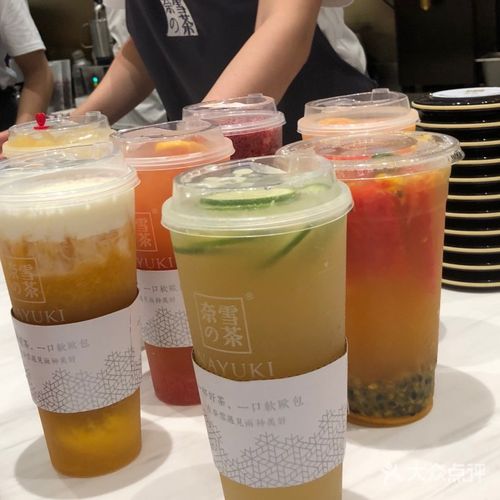 遼陽奈雪加盟費大概多少費用