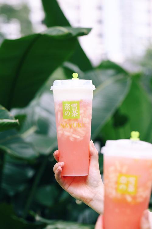 西安奈雪加盟條件及加盟費(fèi)用多少，西安奈雪加盟條件是什么
