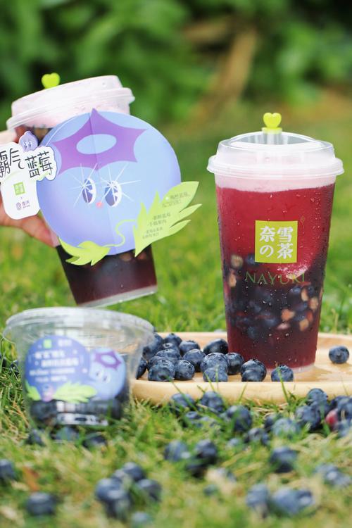 黑河奈雪加盟費(fèi)明細(xì)表，黑河奈雪加盟需要什么條件