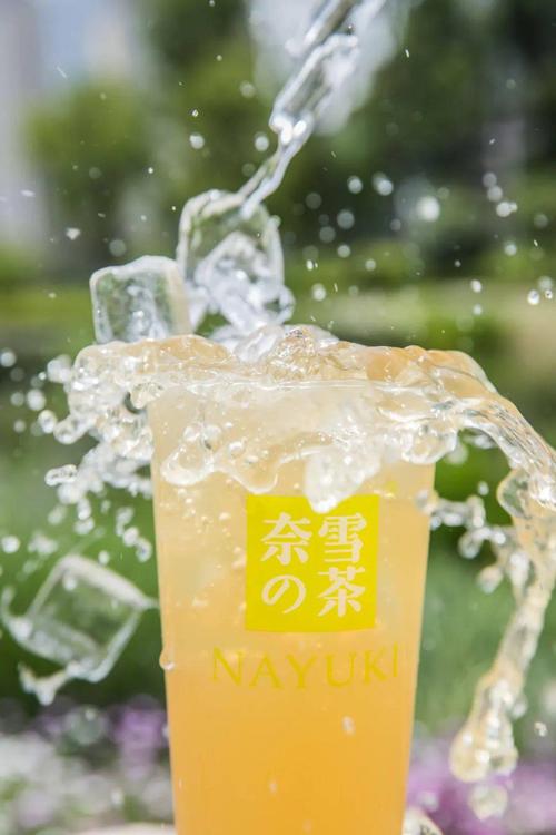 黃石奈雪加盟費(fèi)及加盟條件