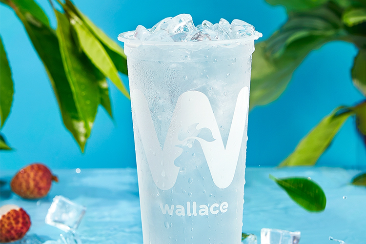 安陽華萊士加盟