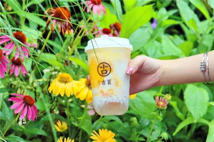 古茗奶茶加盟費要多少錢，古茗奶茶加盟條件及費用