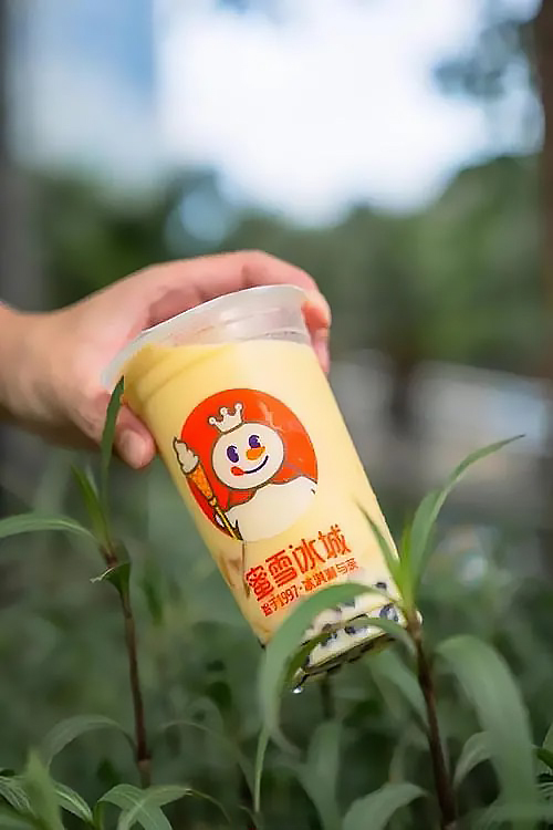 蜜雪冰城加盟需要多少錢2023