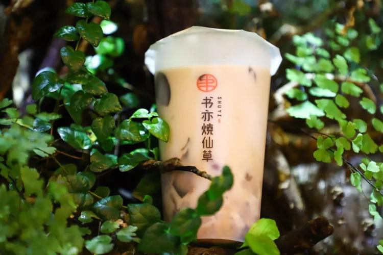 書亦燒仙草加盟店