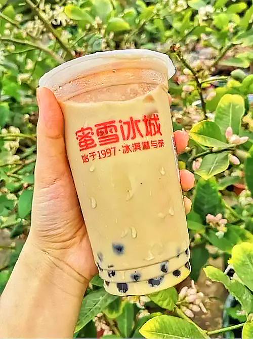 蜜雪冰城加盟條件和費(fèi)用