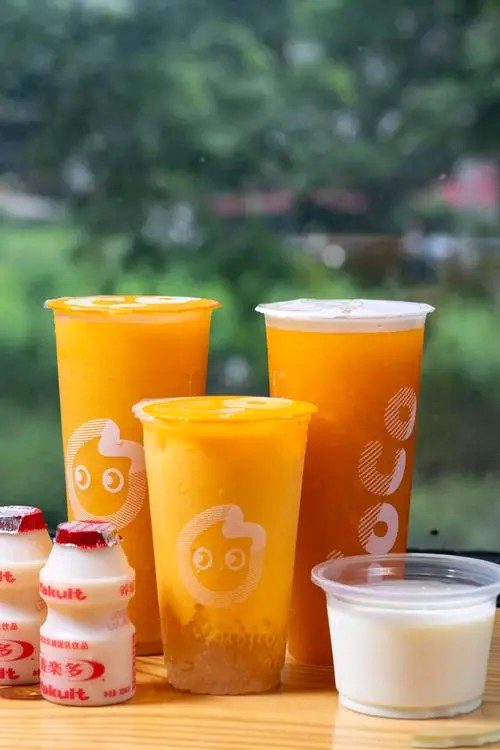 coco奶茶加盟需要多少加盟費(fèi)，coco奶茶怎么加盟加盟流程