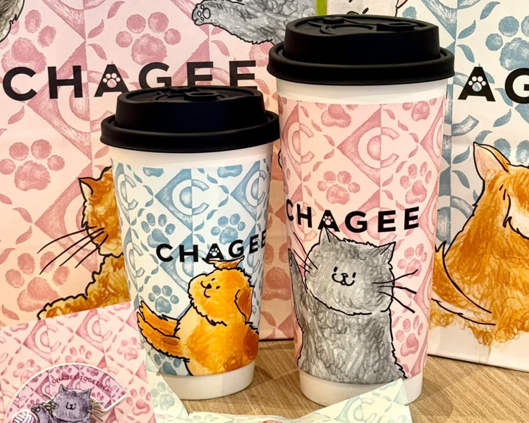 霸王茶姬加盟總投資多少錢，霸王茶姬加盟費及加盟條件