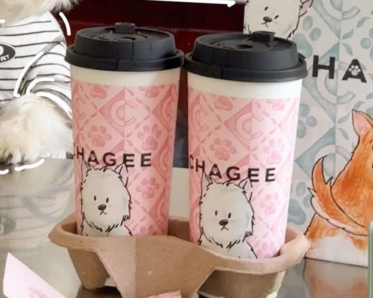 投資霸王茶姬要多少錢加盟費，霸王茶姬茶飲加盟條件和費用